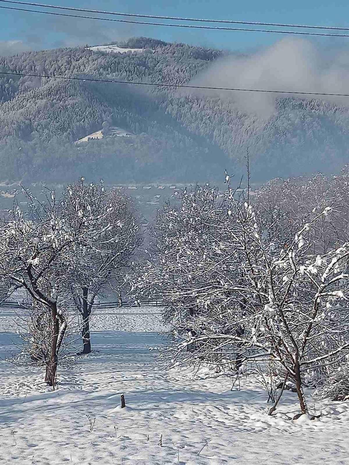 Вілла Зозуля เมอคุลิชิน ภายนอก รูปภาพ